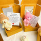 🎁Hot Sale ONLY ＄9.99 TODAY!!🧸✨Little Bear in Box, My Little Worry Bear