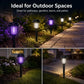 💥LAST DAY SALE 50%OFF💥🌈Solar Mosquito Killer Lamp | 3-in-1 Outdoor Light & Bug Zapper🦟❌