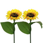 🌻 77% OFF NOW! ☀️ Sunflower Solar Lights – Waterproof Garden Decor & Forever Glow 💡