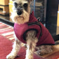 🔥Hot Sale -50% OFF🔥 3 in 1 Winter Waterproof Warm Dog Jacket With Built-in Harness