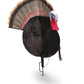 🎁Last Day Promotion 49% OFF🔥Ultra-Realistic Collapsible Turkey Hunting Decoy with Stake & Carry Bag