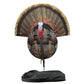 🎁Last Day Promotion 49% OFF🔥Ultra-Realistic Collapsible Turkey Hunting Decoy with Stake & Carry Bag