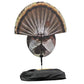 🎁Last Day Promotion 49% OFF🔥Ultra-Realistic Collapsible Turkey Hunting Decoy with Stake & Carry Bag