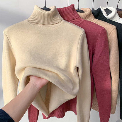 🎁Winter Fleece Thick Knitted Bottoming Shirt