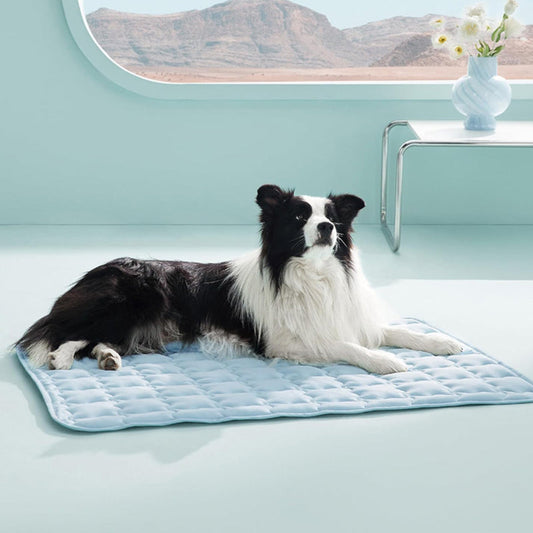 💙Hot SALE 50% OFF💙🐾Cooling Comfort Mat for Pets🐶❄️
