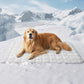 💙Hot SALE 50% OFF💙🐾Cooling Comfort Mat for Pets🐶❄️