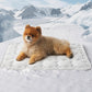 💙Hot SALE 50% OFF💙🐾Cooling Comfort Mat for Pets🐶❄️