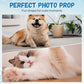 🔥2026 Hot Sale 50% OFF✨⚡ 50K+ SOLD! 🎁Creative Interactive Plush Cat Grabber Toy