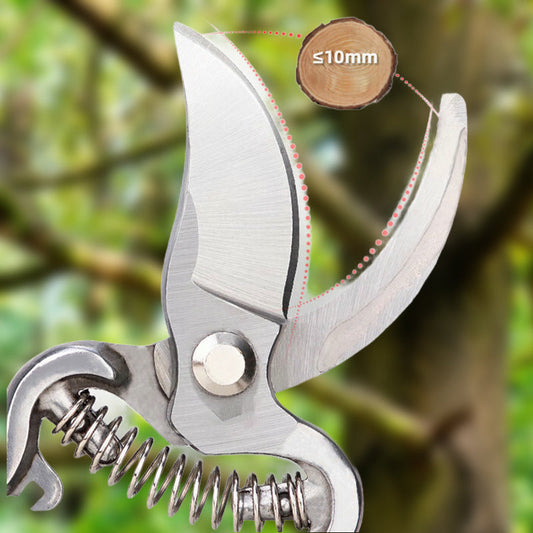 Gardening Spring Pruning Shear