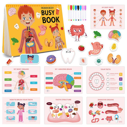 Human Anatomy Busy Book