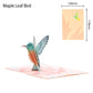 🦋 Vibrant 3D Butterfly & Daisy Pop-Up Greeting Card