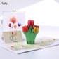 🦋 Vibrant 3D Butterfly & Daisy Pop-Up Greeting Card