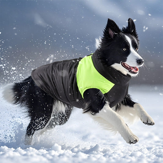 🐕Waterproof Windproof Winter Dog Coat