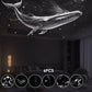 🌌 64% OFF NOW! 🔥 2-in-1 Starry Sky Projector & Night Light – Rotating, remote-controlled & perfect for bedroom ambiance ✨