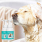 🔥Long-Lasting Leave-In Fragrance Foam Cleaner for Happy Pets