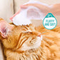🔥Long-Lasting Leave-In Fragrance Foam Cleaner for Happy Pets