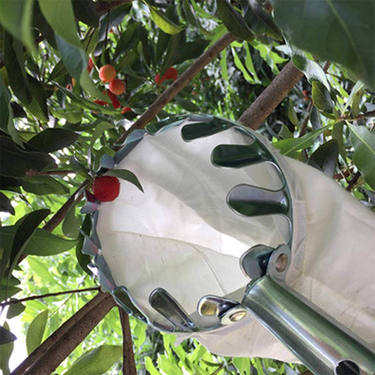 🍎 Fruit Picker Head Basket – Clips onto Pole, Soft Cushion, No Bruising, Harvest Faster 🌳🧺
