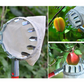 🍎 Fruit Picker Head Basket – Clips onto Pole, Soft Cushion, No Bruising, Harvest Faster 🌳🧺