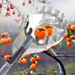 🍎 Fruit Picker Head Basket – Clips onto Pole, Soft Cushion, No Bruising, Harvest Faster 🌳🧺