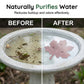 ⏳Time-Limited Special Hot Sale 70%OFF！⏰Universal Fit Bird Bath Purifier