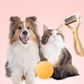 🧶 2-in-1 Deshedding & Dematting Comb – Double-Sided, Slicker & Rake, Reduces Shedding by 90%, Pain-Free Grooming, Ideal for Long & Short Hair 🐕‍🦺💨