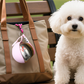 🎁 HOT DEAL – Up to 60% OFF 🔥2-in-1 Portable Dog Water Bottle for Small Dogs - Leak-Proof & Compact .