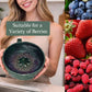🍓🌀 Berry Swirl Washing & Serving Bowl – 2-In-1 Colander & Bowl, Rinse & Drain Berries, Grapes & Veggies. Perfect For Salad Prep & Fresh Fruit Display! 🥗✨🍇