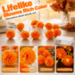 💀New Arrival 50% OFF! 🌼 Artificial Marigold Flower Led String Light – Perfect For Day Of The Dead & Halloween, 20 Leds, 8 Modes, Waterproof. Create A Festive Altar Or Spooky Porch! 🕯️🎃🧡