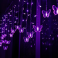 ⏳LAST DAY SALE 50% OFF !!📢LED Butterfly Curtain String Lights