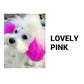 ⏳Limited Time Only ￡9.99！💥80ml Safe and Healthy Pet Hair Dye