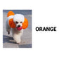 ⏳Limited Time Only ￡9.99！💥80ml Safe and Healthy Pet Hair Dye