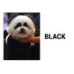 ⏳Limited Time Only ￡9.99！💥80ml Safe and Healthy Pet Hair Dye