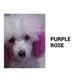 ⏳Limited Time Only ￡9.99！💥80ml Safe and Healthy Pet Hair Dye