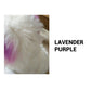 ⏳Limited Time Only ￡9.99！💥80ml Safe and Healthy Pet Hair Dye